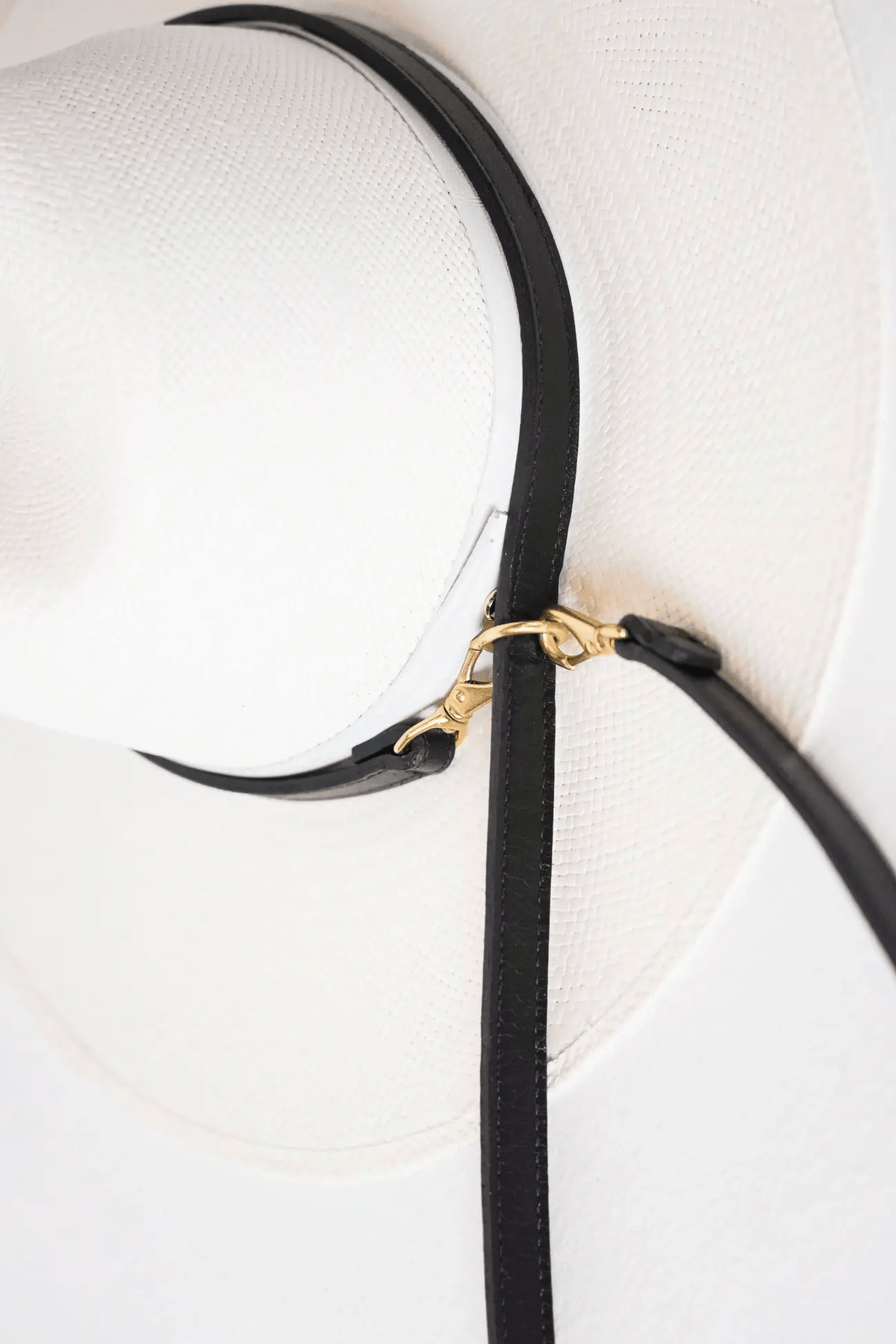 Janessa Leoné Hat carrier