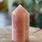 Rose Quartz Crystal Obelisk